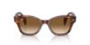 Picture of Ray Ban Sunglasses RB0880S