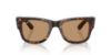 Picture of Ray Ban Sunglasses RB0840SF