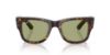 Picture of Ray Ban Sunglasses RB0840S
