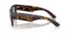 Picture of Ray Ban Sunglasses RB0840S