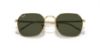 Picture of Ray Ban Sunglasses RB3694