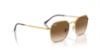 Picture of Ray Ban Sunglasses RB3694
