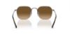 Picture of Ray Ban Sunglasses RB3694