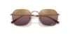 Picture of Ray Ban Sunglasses RB3694
