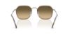 Picture of Ray Ban Sunglasses RB3694