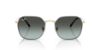 Picture of Ray Ban Sunglasses RB3694