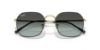 Picture of Ray Ban Sunglasses RB3694