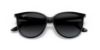 Picture of Ray Ban Sunglasses RB4378F