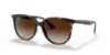 Picture of Ray Ban Sunglasses RB4378F