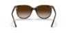 Picture of Ray Ban Sunglasses RB4378F