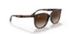 Picture of Ray Ban Sunglasses RB4378F