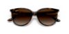 Picture of Ray Ban Sunglasses RB4378F