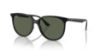 Picture of Ray Ban Sunglasses RB4378