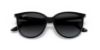Picture of Ray Ban Sunglasses RB4378