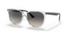 Picture of Ray Ban Sunglasses RB4378
