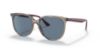 Picture of Ray Ban Sunglasses RB4378