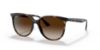 Picture of Ray Ban Sunglasses RB4378