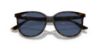 Picture of Ray Ban Sunglasses RB4378