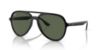 Picture of Ray Ban Sunglasses RB4376