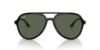 Picture of Ray Ban Sunglasses RB4376