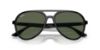 Picture of Ray Ban Sunglasses RB4376