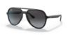Picture of Ray Ban Sunglasses RB4376