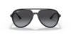 Picture of Ray Ban Sunglasses RB4376