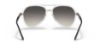 Picture of Ray Ban Sunglasses RB4376
