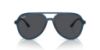 Picture of Ray Ban Sunglasses RB4376
