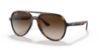 Picture of Ray Ban Sunglasses RB4376
