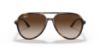 Picture of Ray Ban Sunglasses RB4376