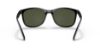 Picture of Ray Ban Sunglasses RB4374