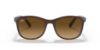 Picture of Ray Ban Sunglasses RB4374