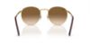 Picture of Ray Ban Sunglasses RB3637