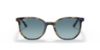 Picture of Ray Ban Sunglasses RB2197F
