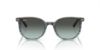 Picture of Ray Ban Sunglasses RB2197