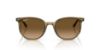 Picture of Ray Ban Sunglasses RB2197F