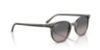 Picture of Ray Ban Sunglasses RB2197
