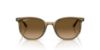 Picture of Ray Ban Sunglasses RB2197