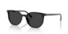 Picture of Ray Ban Sunglasses RB2197