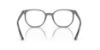 Picture of Ray Ban Eyeglasses RX5397F
