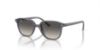 Picture of Ray Ban Sunglasses RJ9093S