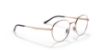 Picture of Ray Ban Eyeglasses RX3681V