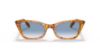 Picture of Ray Ban Sunglasses RB2299