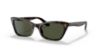 Picture of Ray Ban Sunglasses RB2299