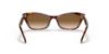 Picture of Ray Ban Sunglasses RB2299