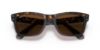 Picture of Ray Ban Sunglasses RB2283