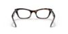 Picture of Ray Ban Eyeglasses RX5499