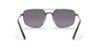 Picture of Ray Ban Sunglasses RB3666