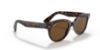 Picture of Ray Ban Sunglasses RB2199
